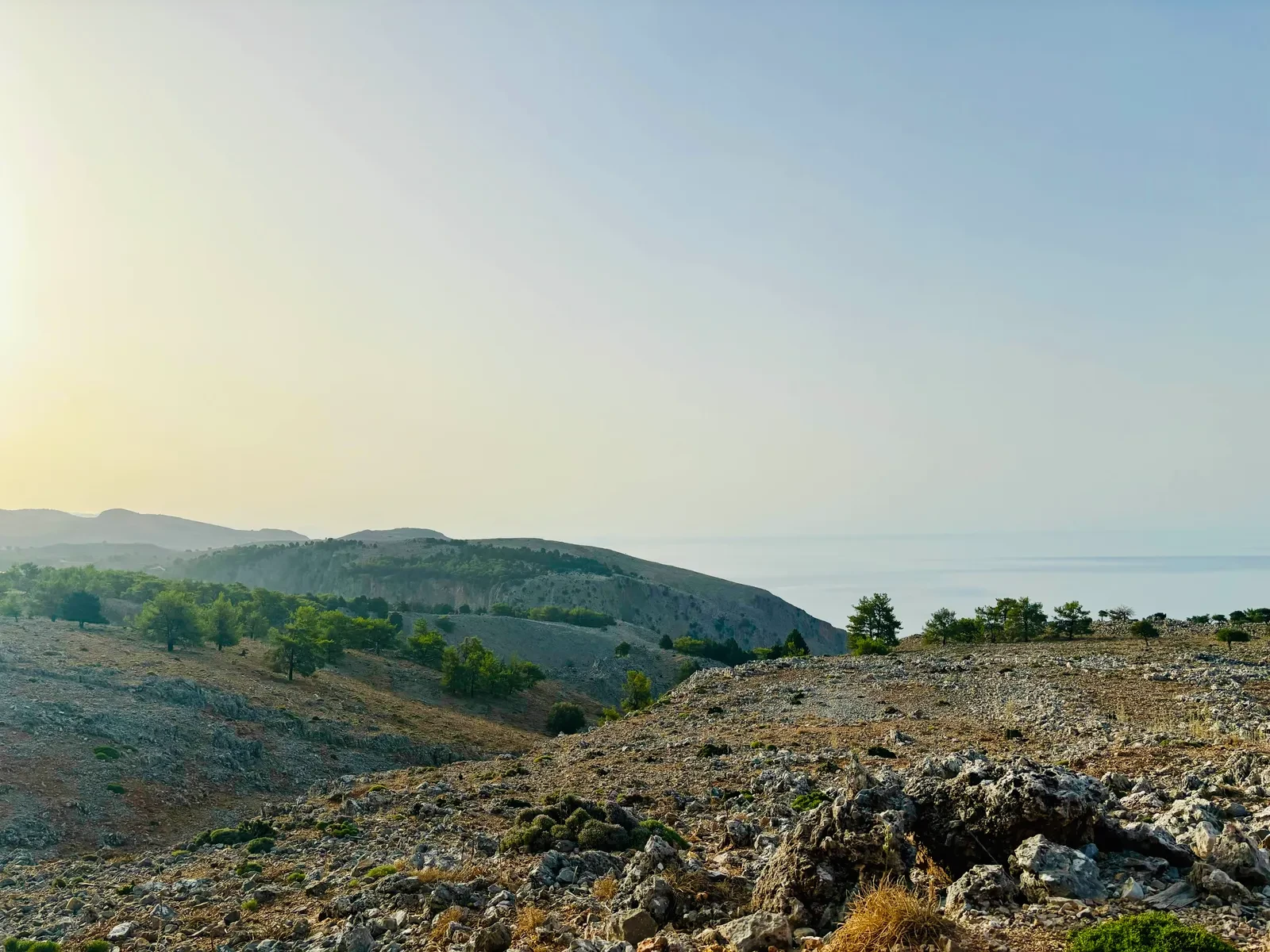 Mediterranean Wine Tasting Experience Program