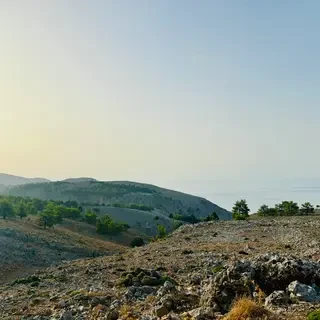 Mediterranean Wine Tasting Experience Program