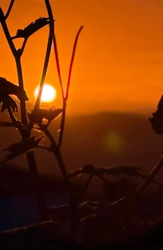 Sunset On Crete Villana Vines
