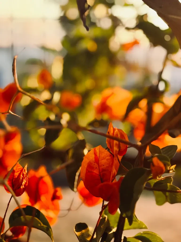 Cretan Wine Tasting Experience Program