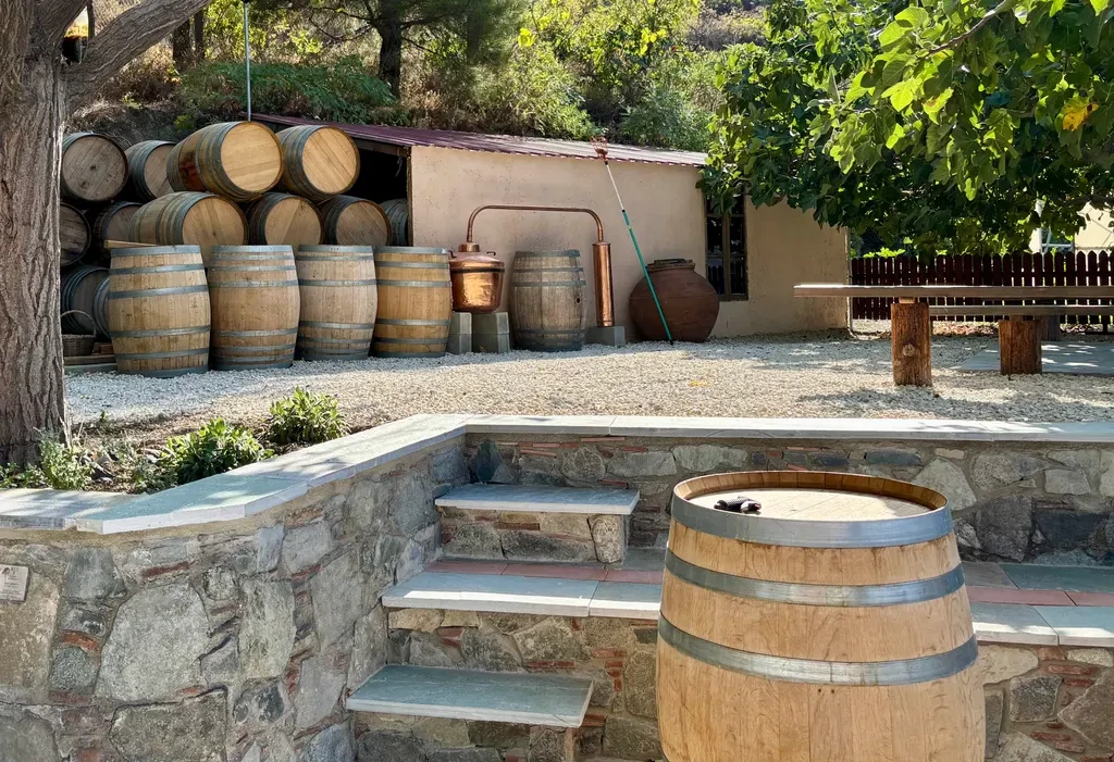 Cyprus Wine Tasting Experience